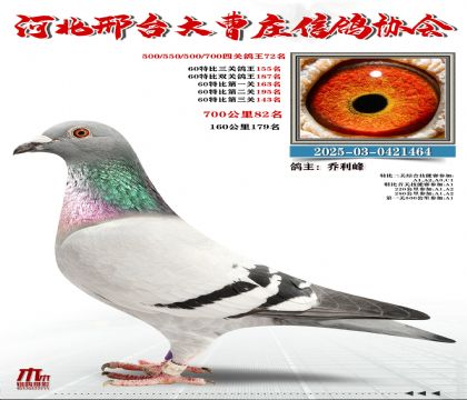 700����82��