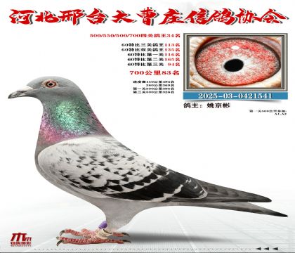 700����83��