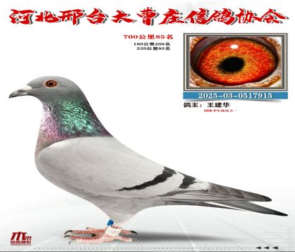 700����85��