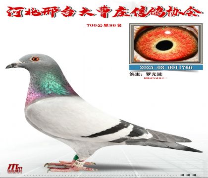 700����86��