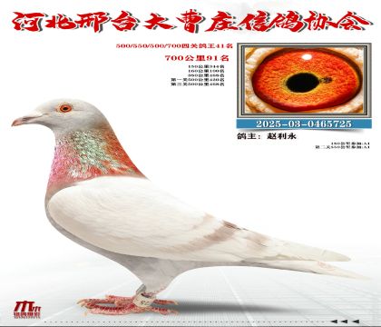 700����91��