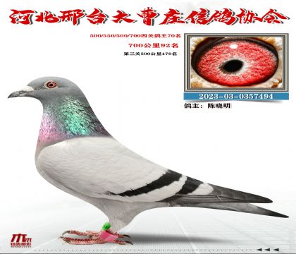 700����92��