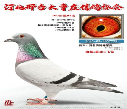 700����93��