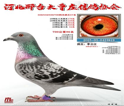 700����96��