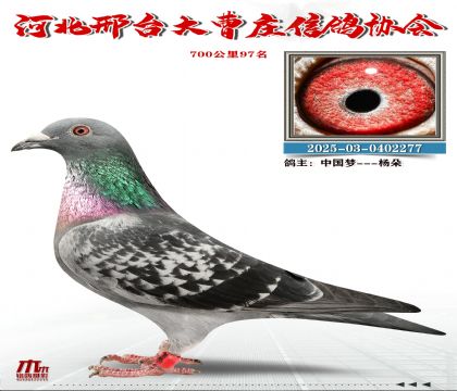 700����97��