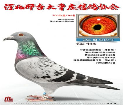 700����104��