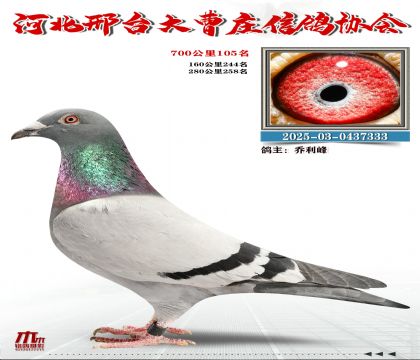 700����105��