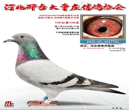 700����106��