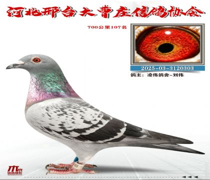 700����107��