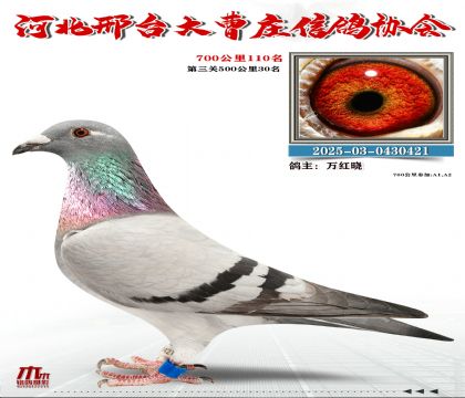 700����110��