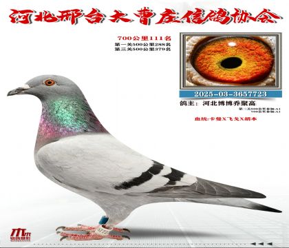 700����111��