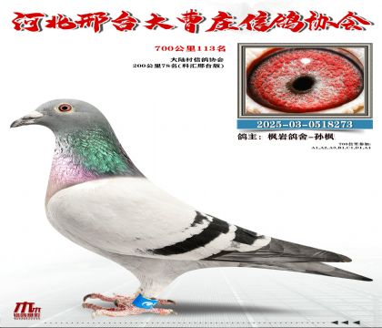 700����113��