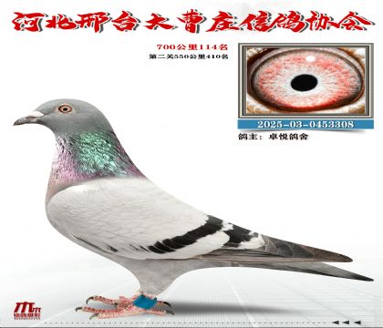 700����114��