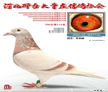 700����115��