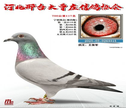 700����117��