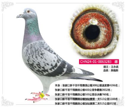 ���ҿ���ǧ��ǧ��ِ������500���ￂ�Qِ760��   ��	