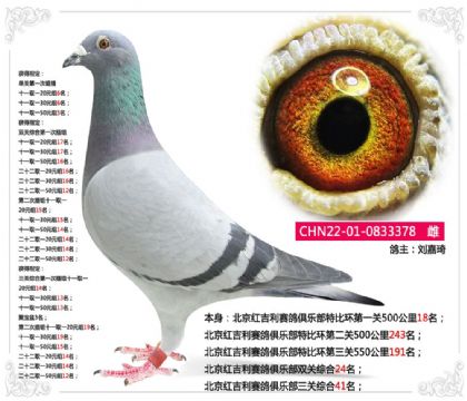 �����t����ِ���㘷�����P�C��41��   ��	