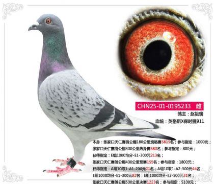 ���ҿ���ِ������400�����Aِ155��   ��	