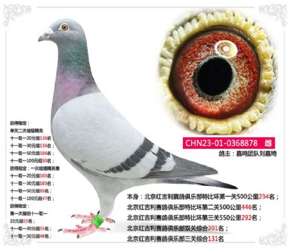 �����t����ِ���㘷�����P�C��131��  ��	