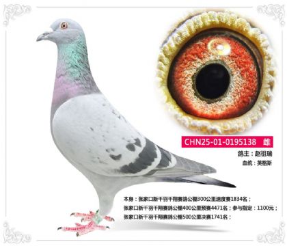 ���ҿ���ǧ��ǧ��ِ������500����Qِ1741��   ��	