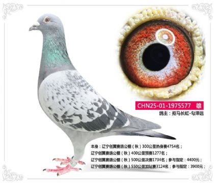 �|����(chu��ng)��ِ������500����Qِ1734��  ��	