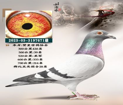 ��ٹ����܊