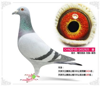 �������ِ������500����Qِ169��  ��	