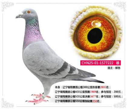 �|������ِ������550�����վِ350��   ��