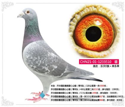 �_�����Hِ�����Ĺ������ꠣ���һ�P515�����վِ617��