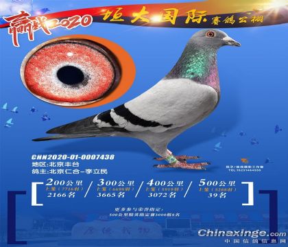 �����ʺ�-������-�ӱ�ԫ����Hِ������500����Qِ39��