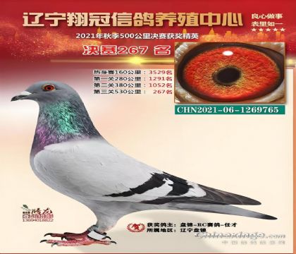 �|����������B(y��ng)ֳ����530����Qِ267��   ��