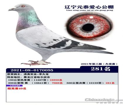 �|��Ԫِ̩�����Ĺ���500����Qِ281��   ��	