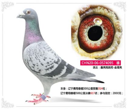 �|�����贺��500����Qِ617��   ��	