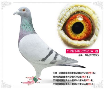 �J�_�W�x��W�x-���������H�����վِ662��  ��	