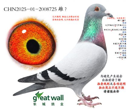 2.�¿�����x����.2008725