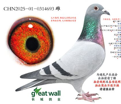 4.����x��ŷ��Ѫϵ.0314693