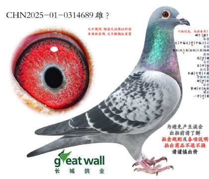 3.���׶�x���ܸ��׵�.0314689