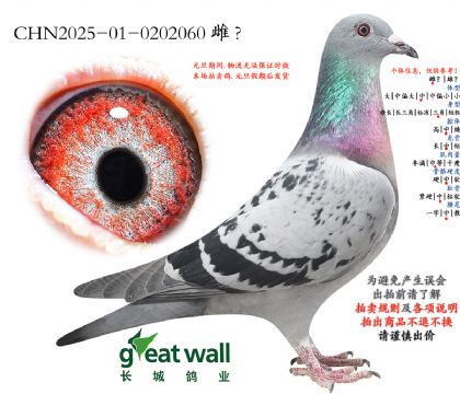 5.����Ү��x����.0202060