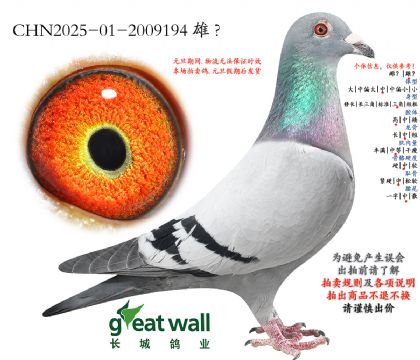 8.����С�����.2009194