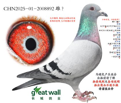 9.�Ѷ�xղ��˹801Ѫϵ.2008892