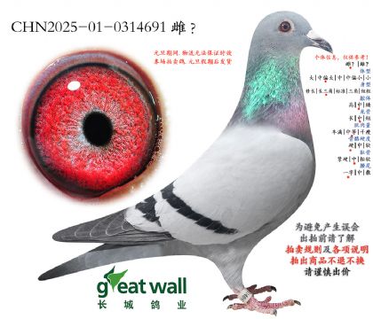 12.���޿���888���.0314691