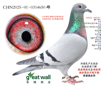 10.����Ѫϵ.0314650