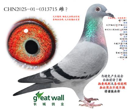 14.��ѩ�������ض����.0313715