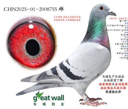 16.ͼ��˹003���.2008755