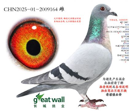 18.��ȱ�ݽ�Ѫ.2009164