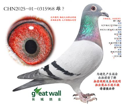 17.����������ƽ��.0315968