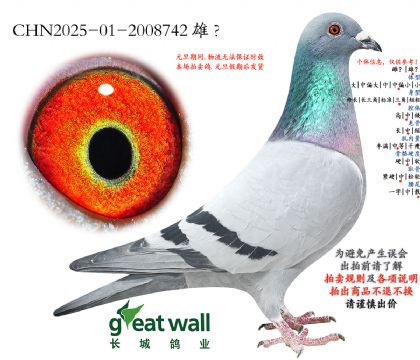 1.�¿�����x����.2008742