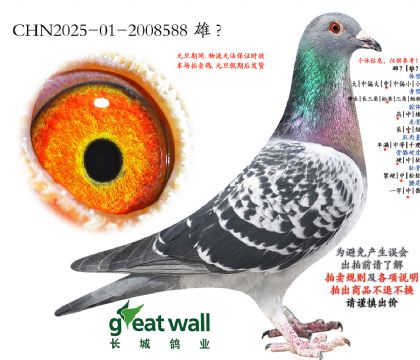 2.�D��˹x���ؠ�.2008588