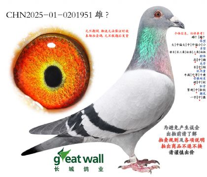 3.Ħ��˹�O��.0201951