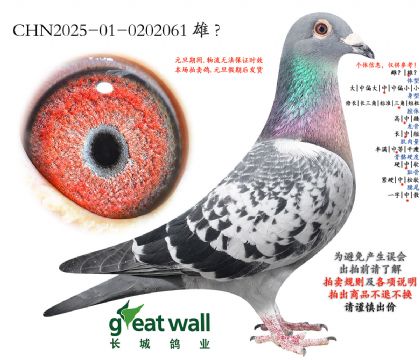 5.����ҮƝx���W.0202061